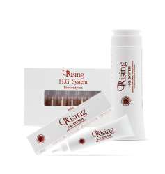 H.G. SYSTEM